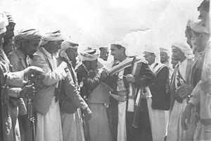 اليمن