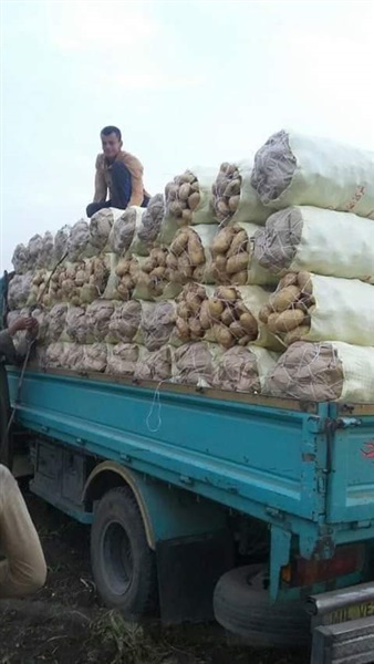 فيديو وصور.. بوابة