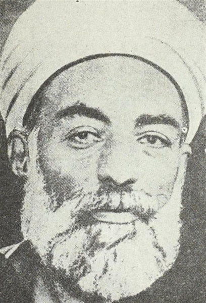 محمد الأحمدي الظواهري