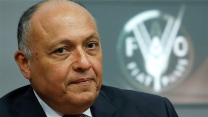 سامح شكري