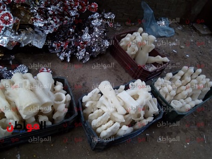 فيديو .. من داخل