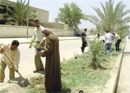تشجير الشوارع في