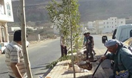 تشجير الشوارع في