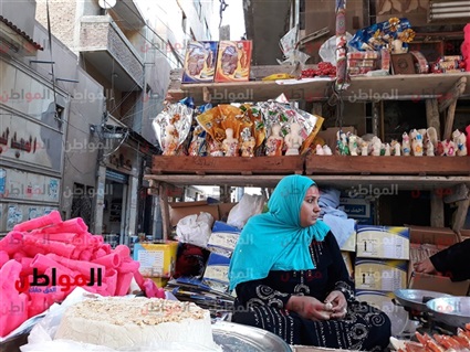 فيديو.. العروسة والحصان