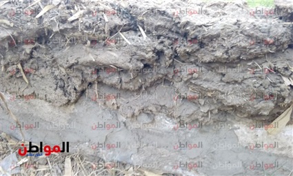 فضلات الحيوانات