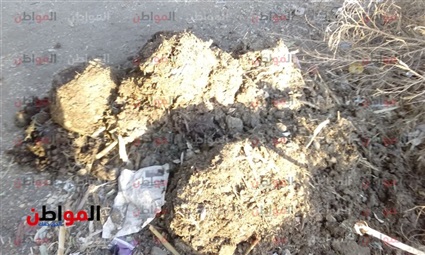 فضلات الحيوانات