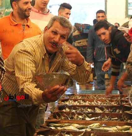 صور| حلقة السمك..