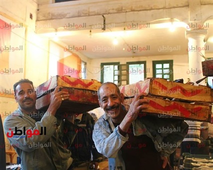 صور| حلقة السمك..