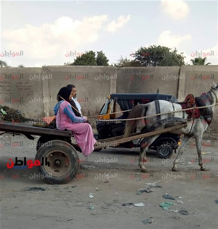 حكايات مصر الحلوة