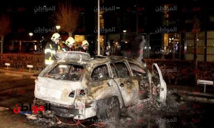 فنلندا وهولندا..