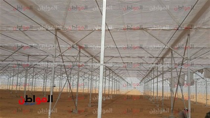 الصوب الزراعية في