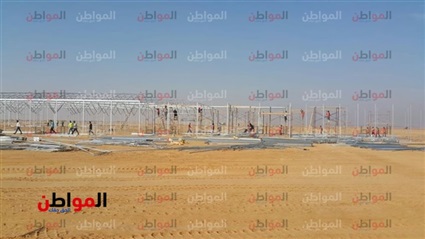 تفاصيل الصوب الزراعية