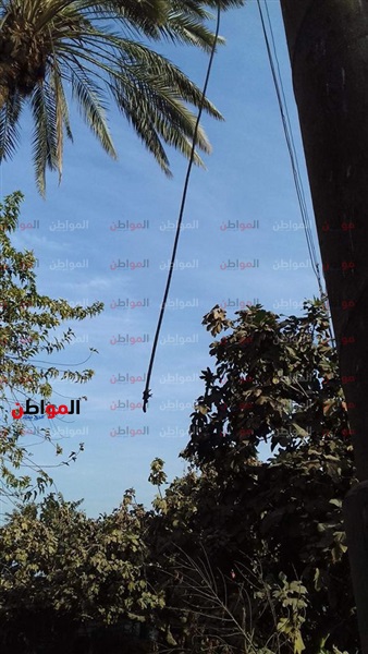 صور| أهالي طما: أسلاك