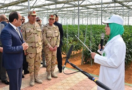 آخر يوم في سنة 2012