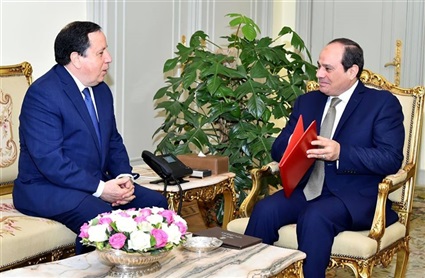 نشاط الرئيس السيسي