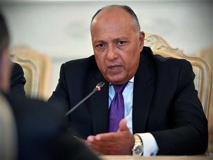 وزير الخارجية المصرى
