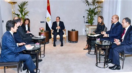 لقاءات الرئيس السيسي