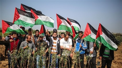 فلسطين