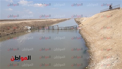 مشروع الاستزراع السمكي
