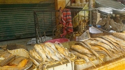 أسماك فاسدة