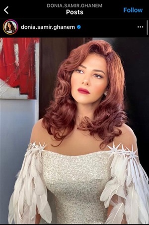 الفنانة دنيا سمير